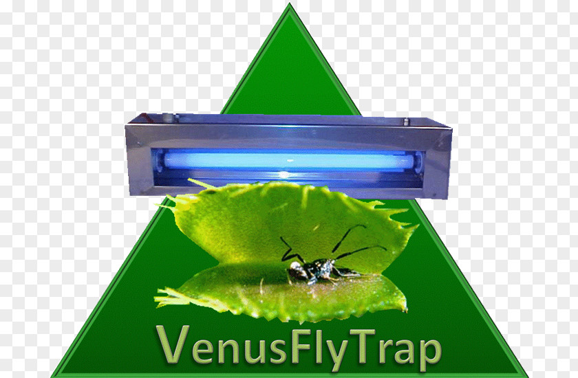 Venus Flytrap Insect Green PNG