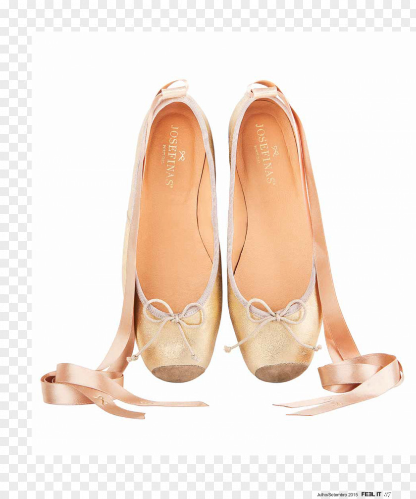 Ballet Flat Slipper Shoe Dancer PNG