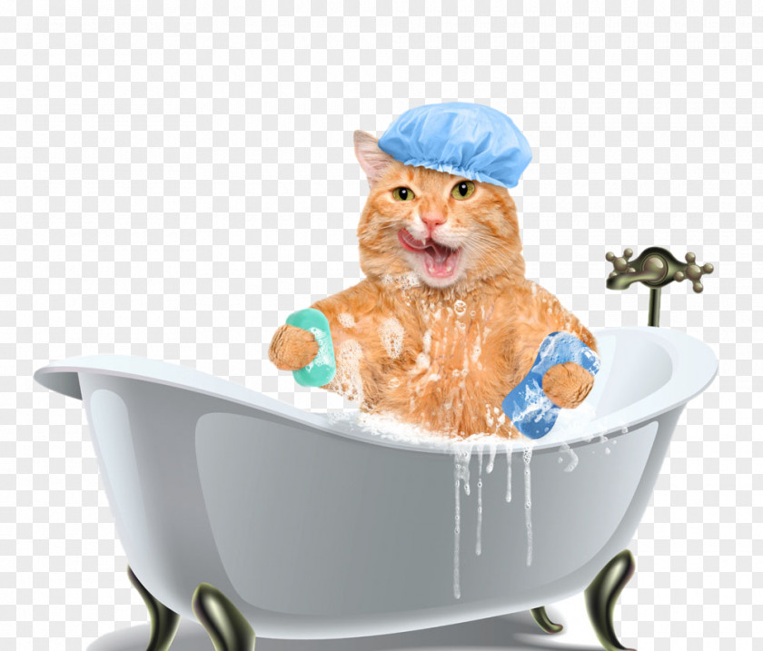 Cat Bath Tub Dog Kitten Shampoo Bathing PNG