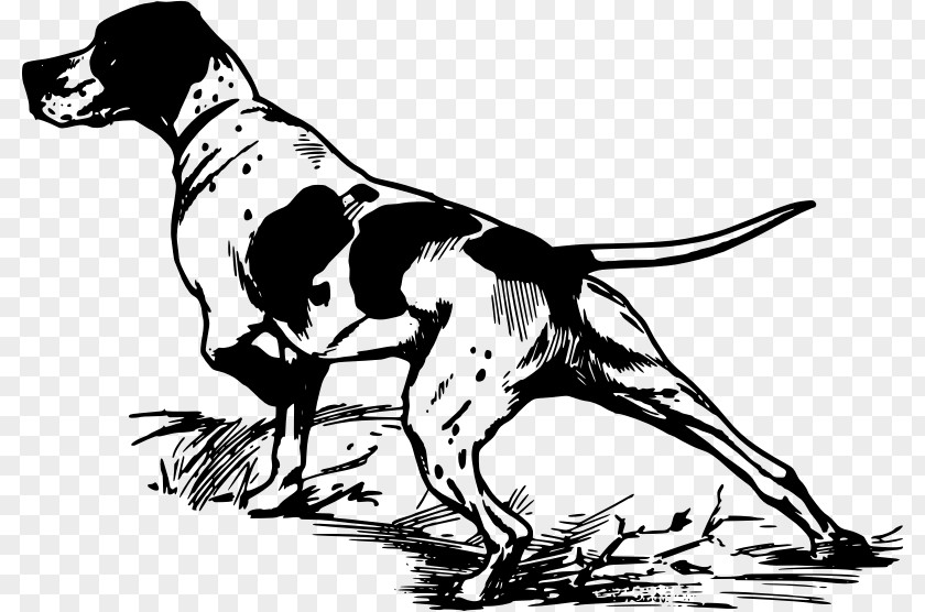Duck Pointer Greyhound Hunting Dog Clip Art PNG