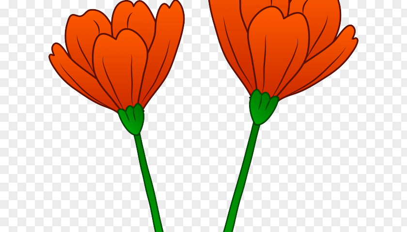 Flanders Background California Poppy Clip Art Image PNG