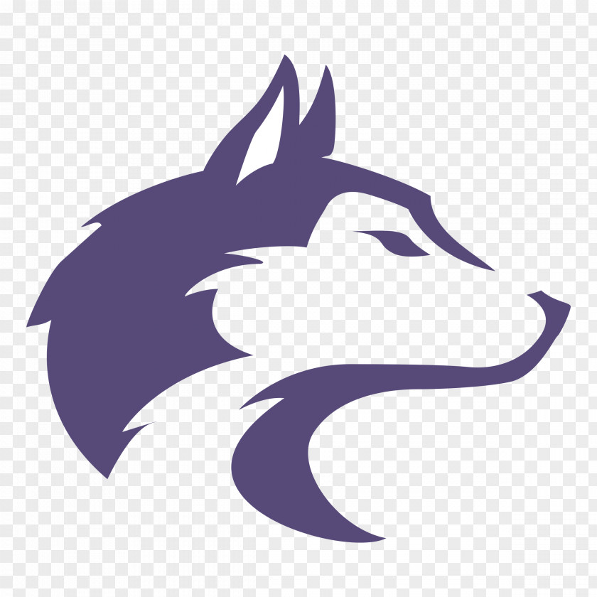 Husky Washington Huskies Men's Basketball University Of Tacoma Gonzaga State In St. Louis PNG