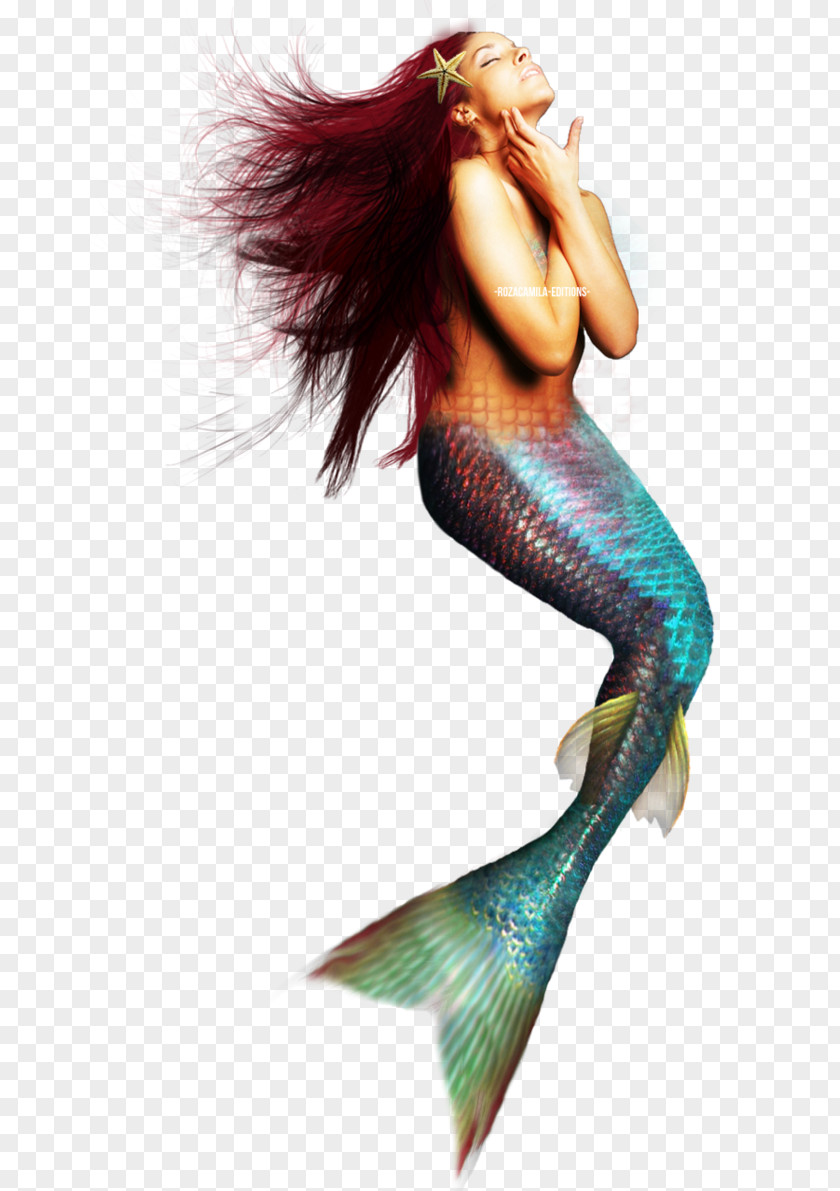 Mermaid Siren Photography PNG