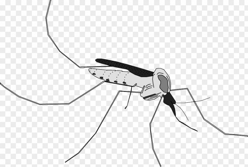 Mosquito Brief Swim Briefs PNG