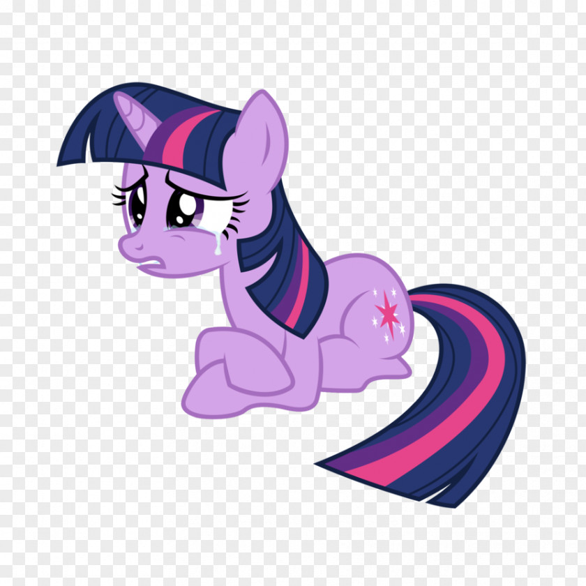 My Little Pony Sad Crying Twilight Sparkle Pinkie Pie Rarity Rainbow Dash Applejack PNG