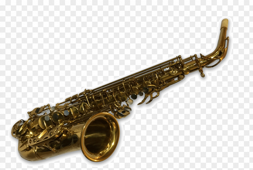 Saxophone Baritone Alto Clarinet Family PNG