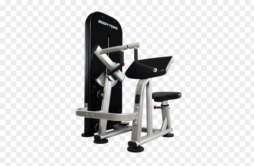 Triceps Biceps Brachii Muscle Bench Strength Training Elliptical Trainers PNG