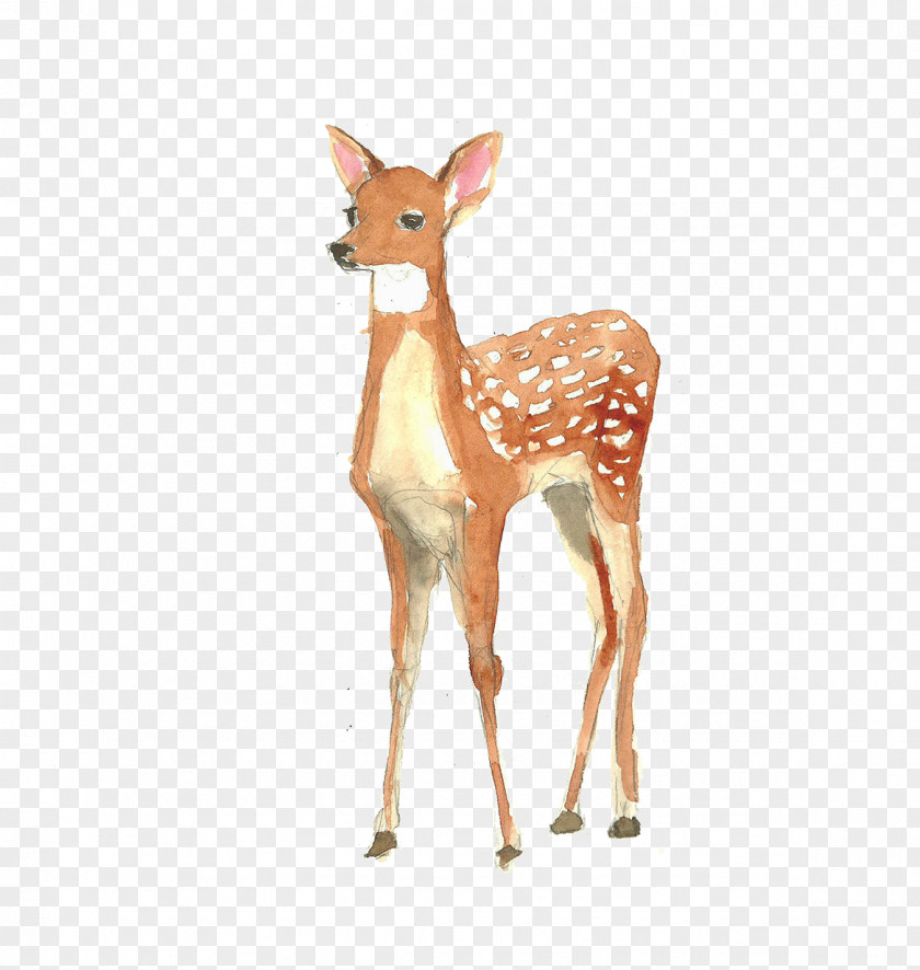 Watercolor Deer Poster Painting Illustration PNG