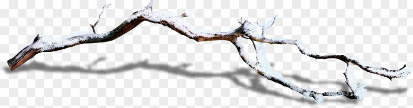 Winter Earthly Branches Gratis Download PNG