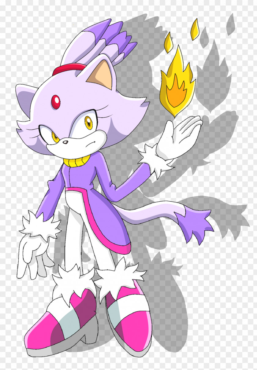 Blaze Cat Ariciul Sonic Rush Adventure Rouge The Bat PNG