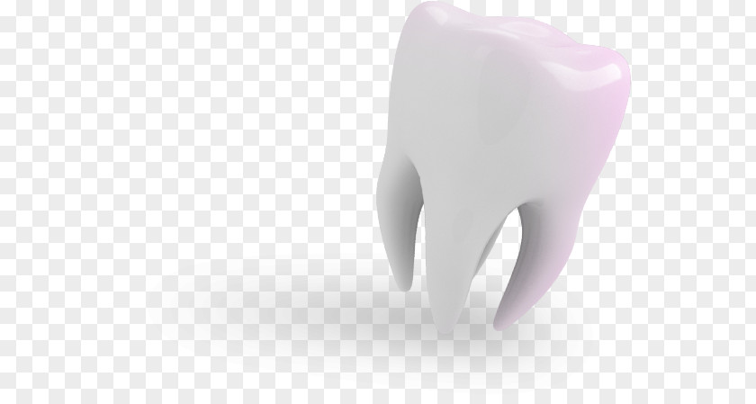 Bucky Dent Human Tooth Product Design PNG