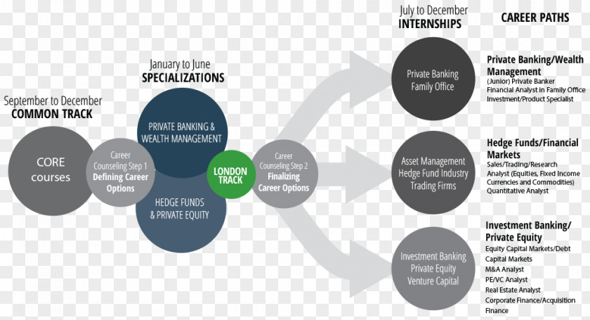Financial Industry Brand Organization Diagram PNG
