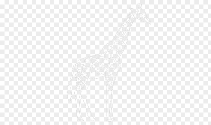 Giraffe Sketch Horse White Neck Line Art PNG