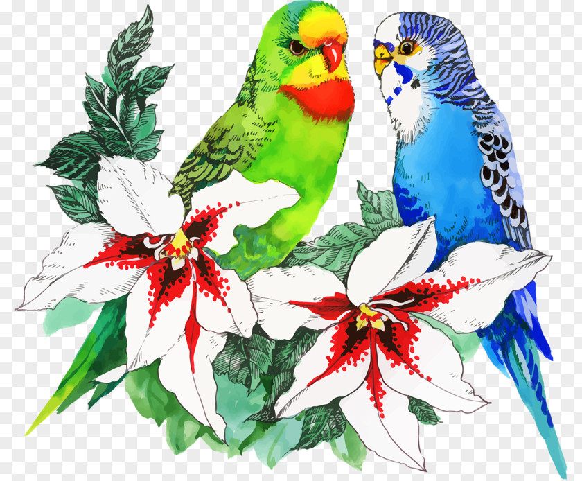 Parrot Bird Flower Drawing PNG