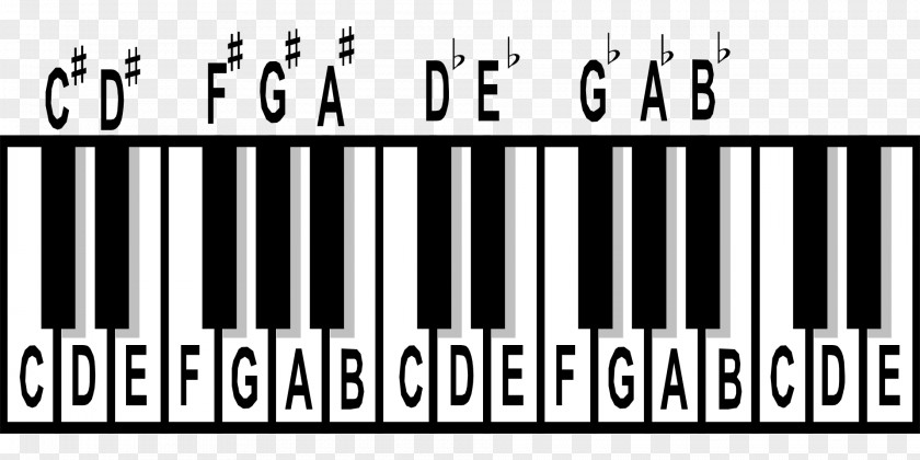 Piano Keyboard Musical Clip Art PNG