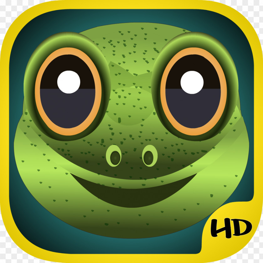 Frog Tree Toad PNG