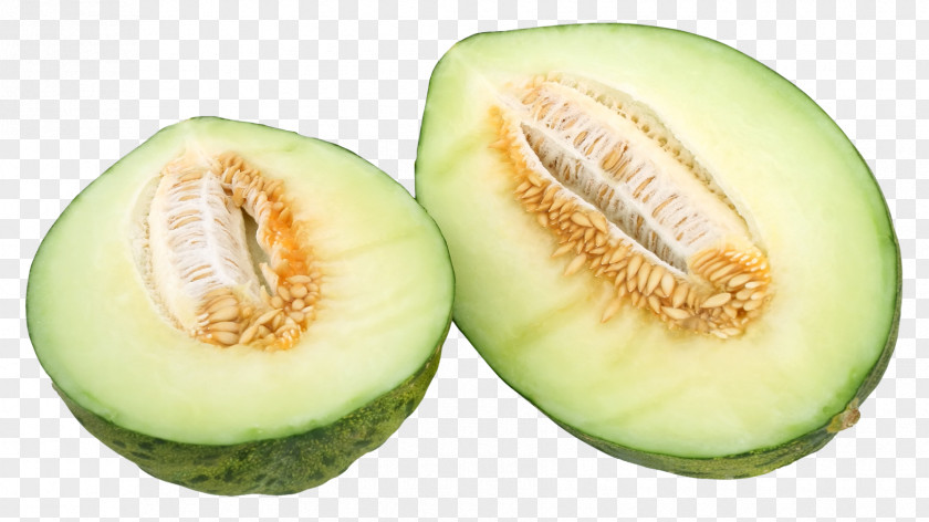 Melon Honeydew Cantaloupe Fruit PNG