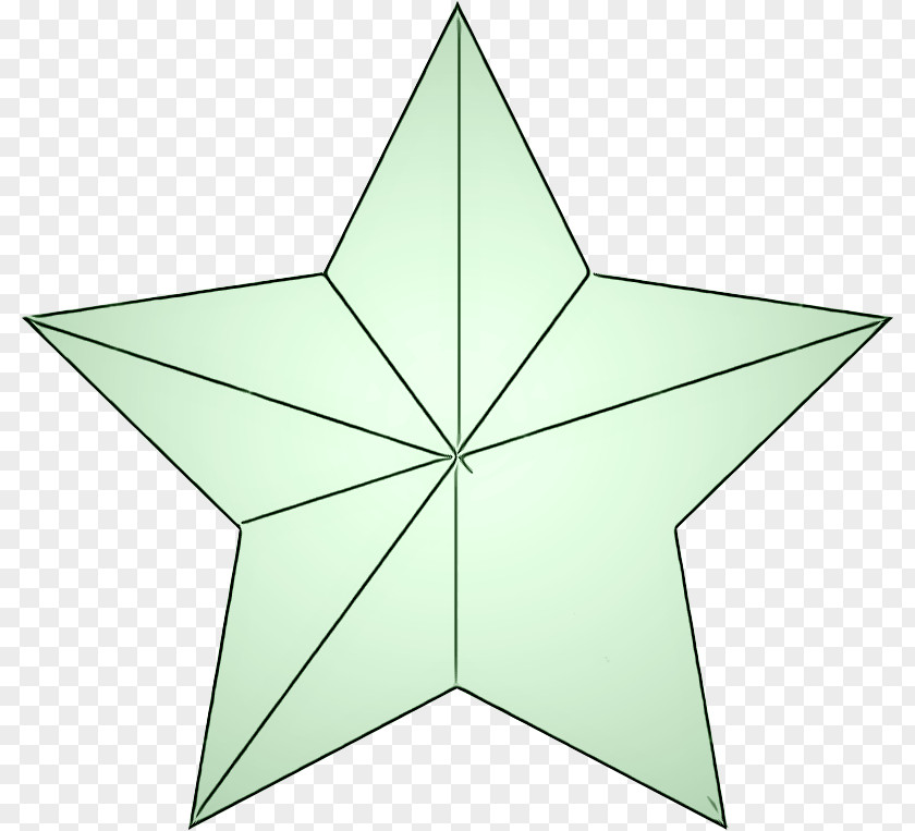 Plant Star Green Leaf Symmetry PNG