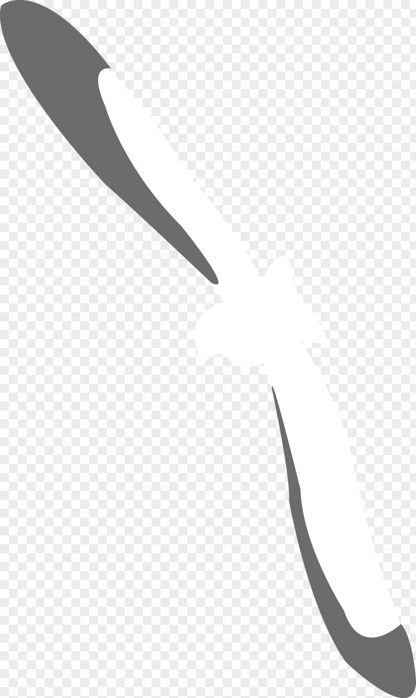 Simple Strokes And Peace Pigeon Decorated Vector Exquisite PNG