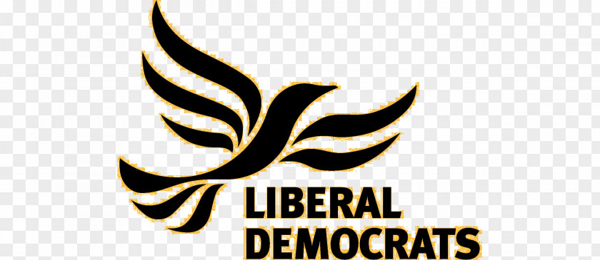 United Kingdom Scottish Liberal Democrats Liberalism Election PNG