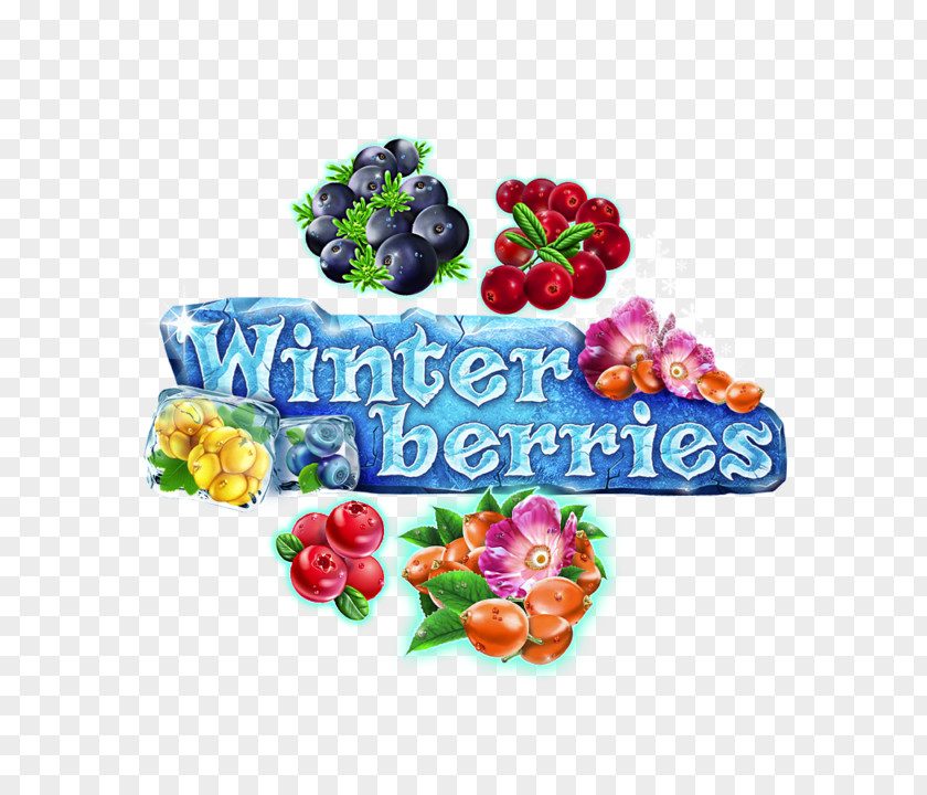Winter Berries Fruit Machines Game Player PNG