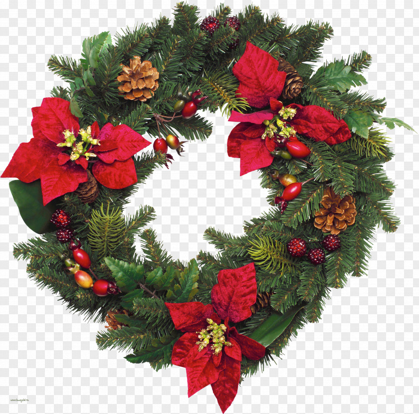 Green Wreath A Christmas Carol The American Album Tree PNG