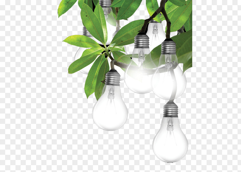 Light Bulb On The Leaves Power Electricity Industry Public Utility Business PNG