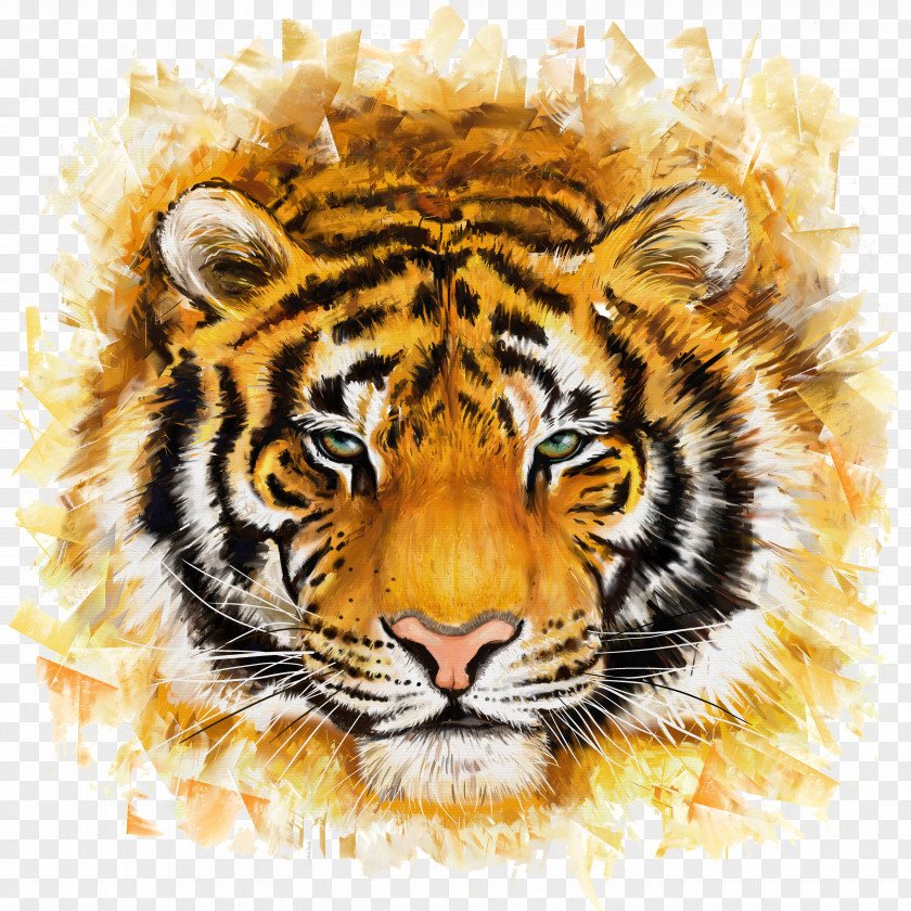 Tiger Bengal Felidae Painting Illustration PNG