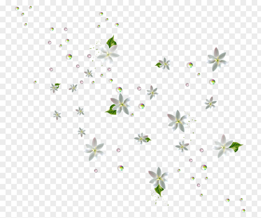 Wildflower Branch Floral Spring Flowers PNG