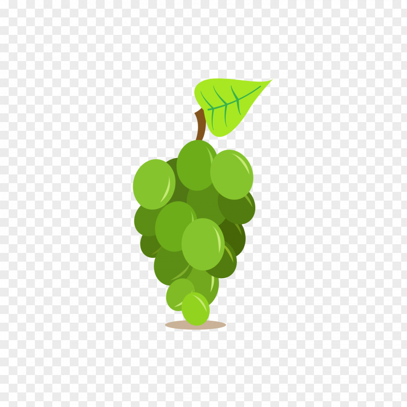 A Bunch Of Green Grapes Wine Common Grape Vine Fruit PNG