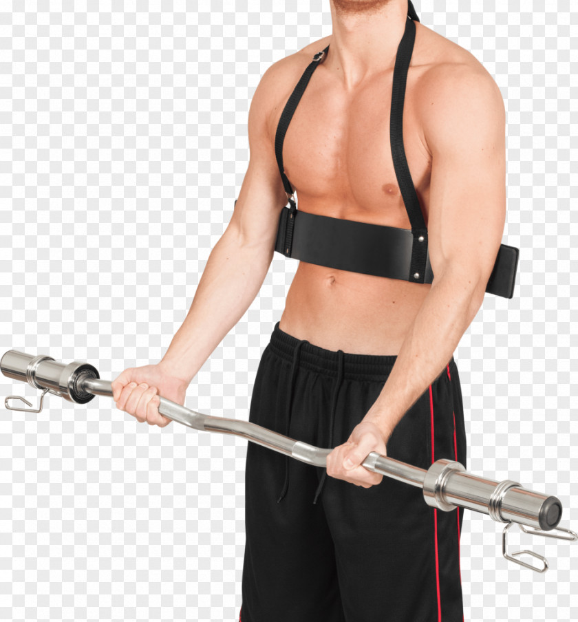 Barbell Biceps Triceps Brachii Muscle Wrist PNG