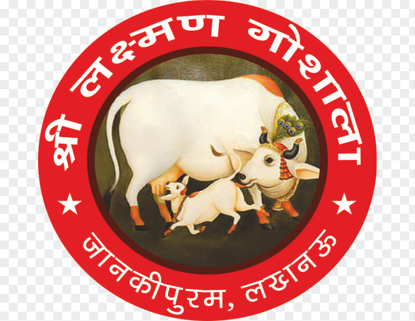 Krishna Vrindavan Gyr Cattle Goshala PNG