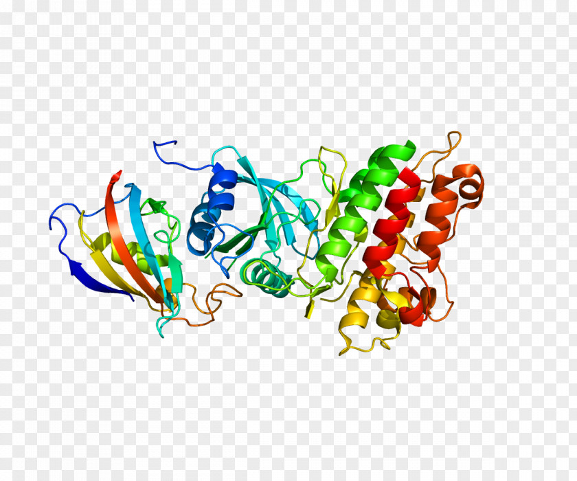 Plasma ACVR1 Bone Morphogenetic Protein Fibrodysplasia Ossificans Progressiva Activin Receptor PNG