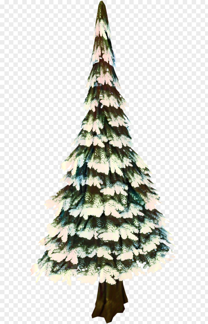Red Pine Cypress Family White Christmas Tree PNG