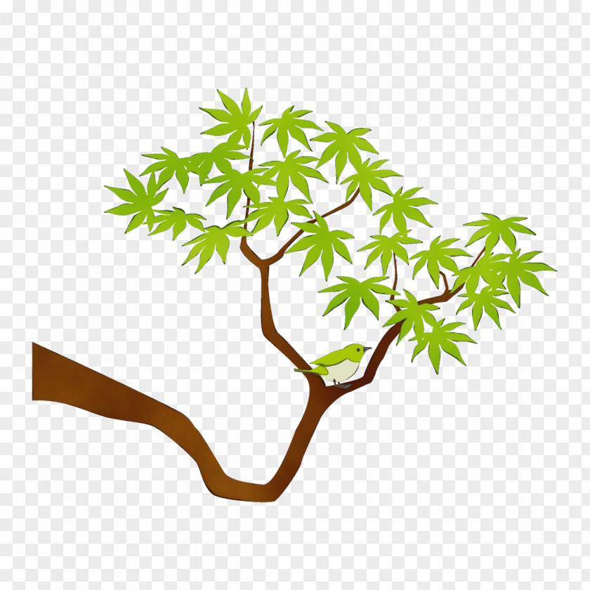 Twig Flower Leaf Branch Tree Plant Stem PNG