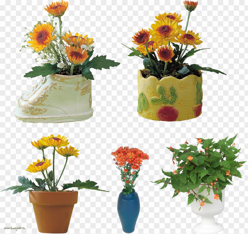 Vase Floral Design Cut Flowers Bonsai PNG