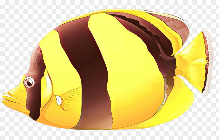 Yellow Helmet Butterflyfish Personal Protective Equipment Fish PNG