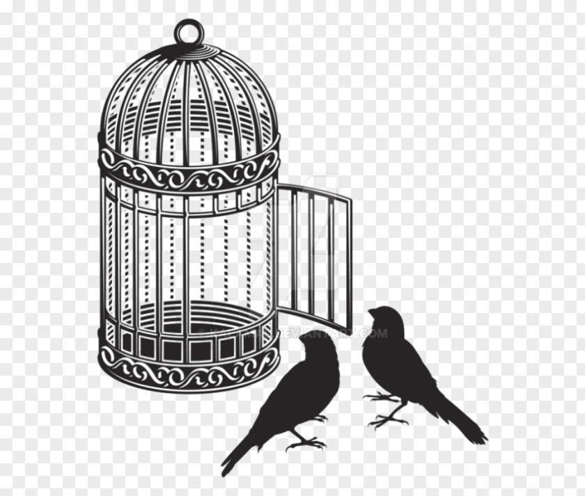 Bird Birdcage Cockatiel Vector Graphics PNG