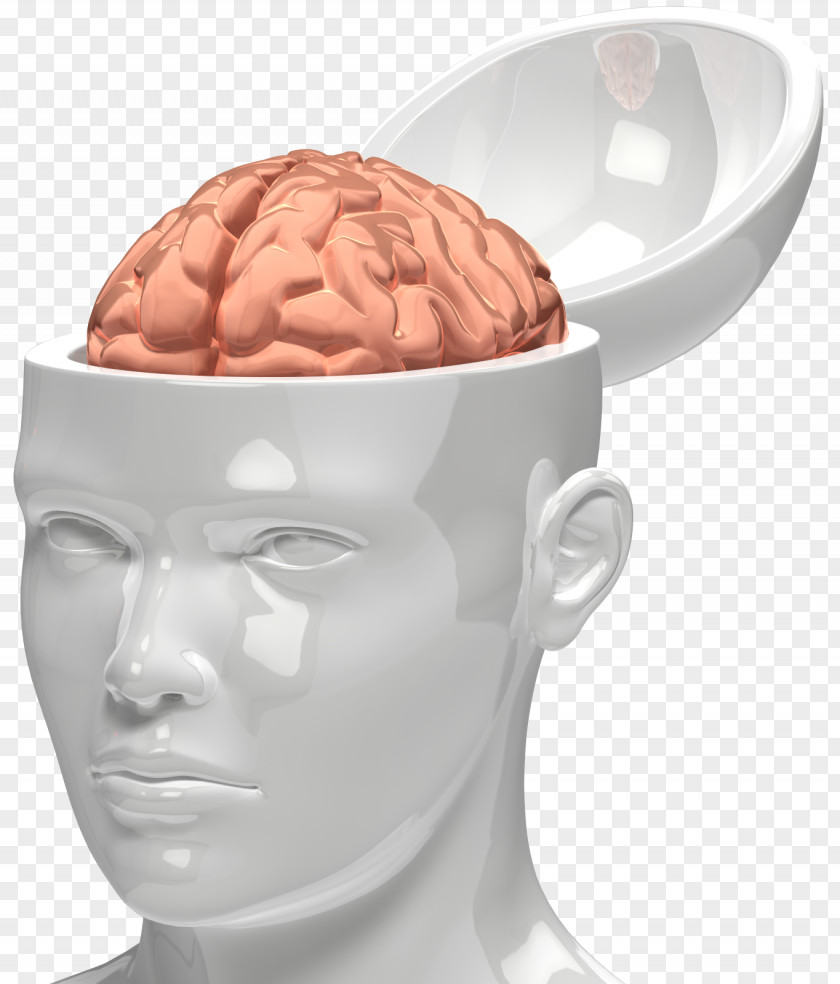 Brain Animation Drawing Clip Art PNG