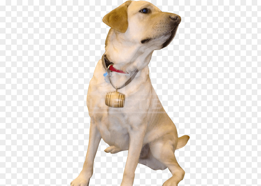 Collar Dog Labrador Retriever Breed Barrel Companion PNG