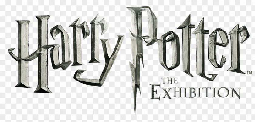 Harry Potter The Wizarding World Of And Goblet Fire Order Phoenix Museum Science PNG