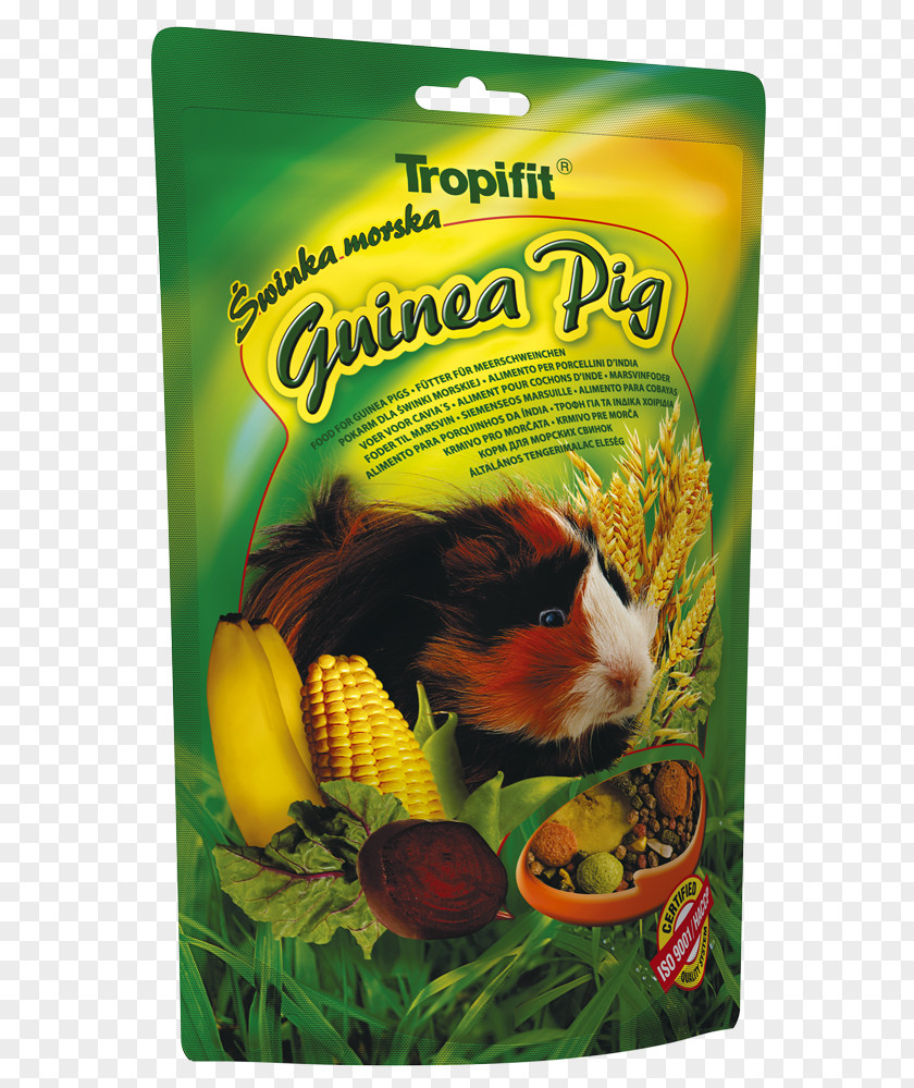 Pig Guinea European Rabbit Food PNG