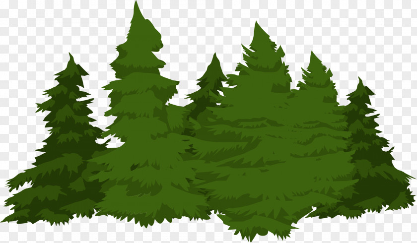 Pine Forest Conifers PNG