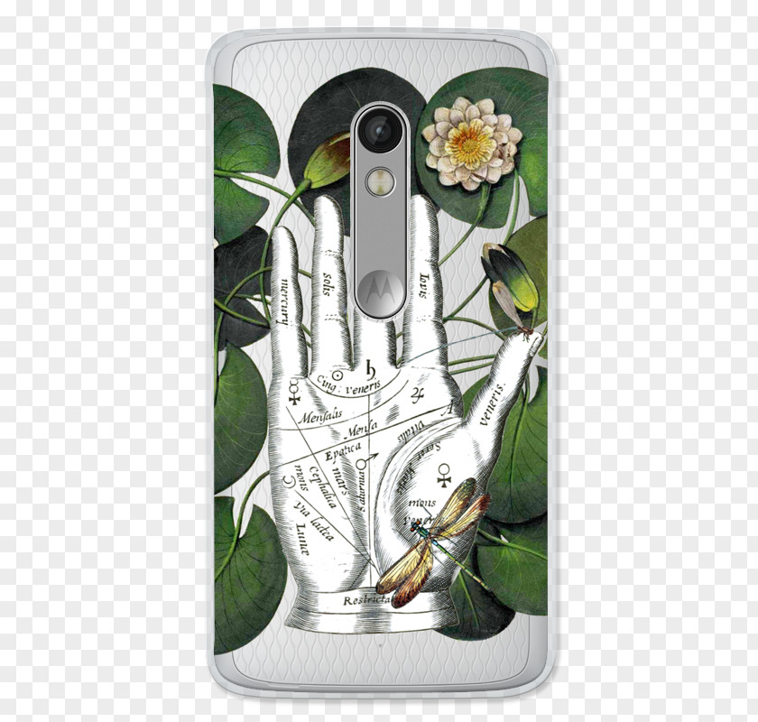 Case Water Lily’s KEK Amsterdam Wonder Walls Mobile Phone Accessories Palmistry PNG