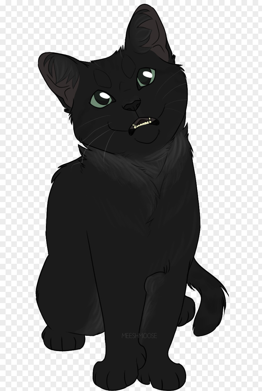 Cinnamon Roll Black Cat Whiskers Domestic Short-haired Snout PNG