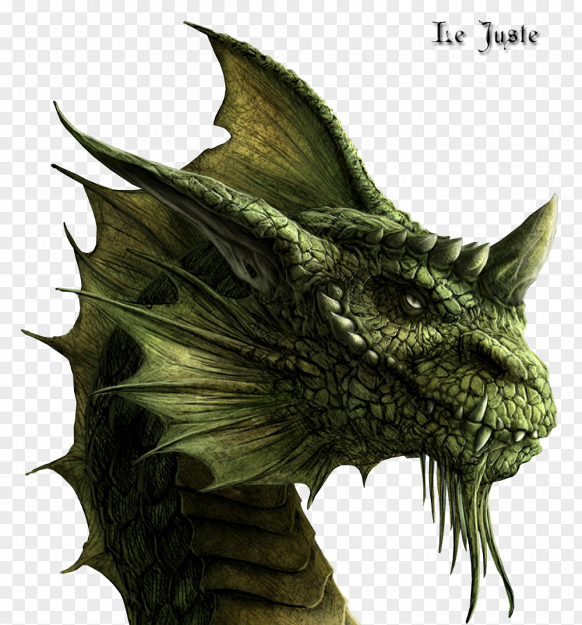 Dragon Eragon Brisingr Inheritance Cycle Arya Dröttningu Galbatorix PNG
