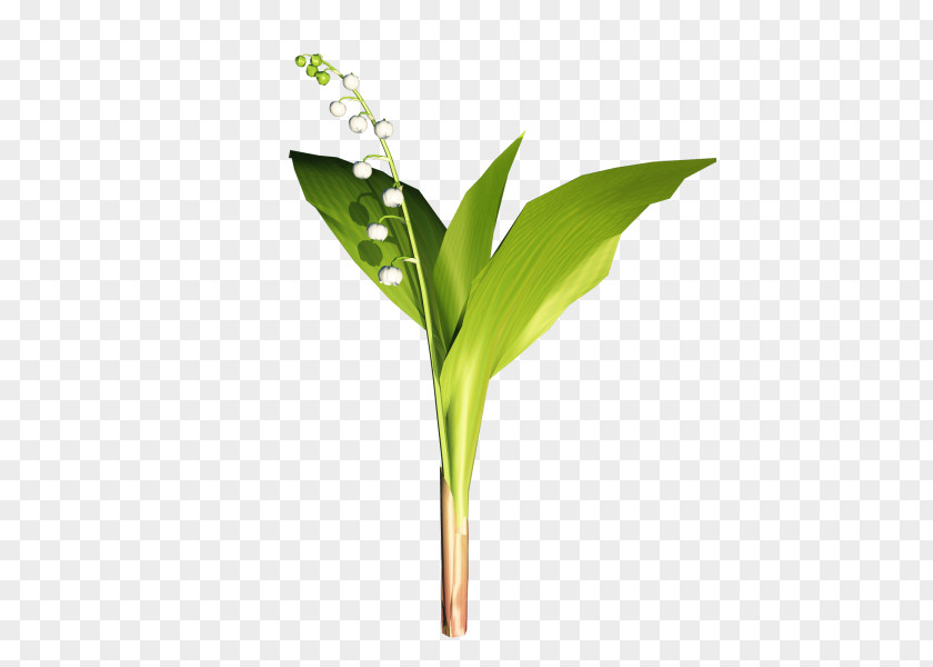 Flowers And Plants Clip Art Image Centerblog Drawing PNG