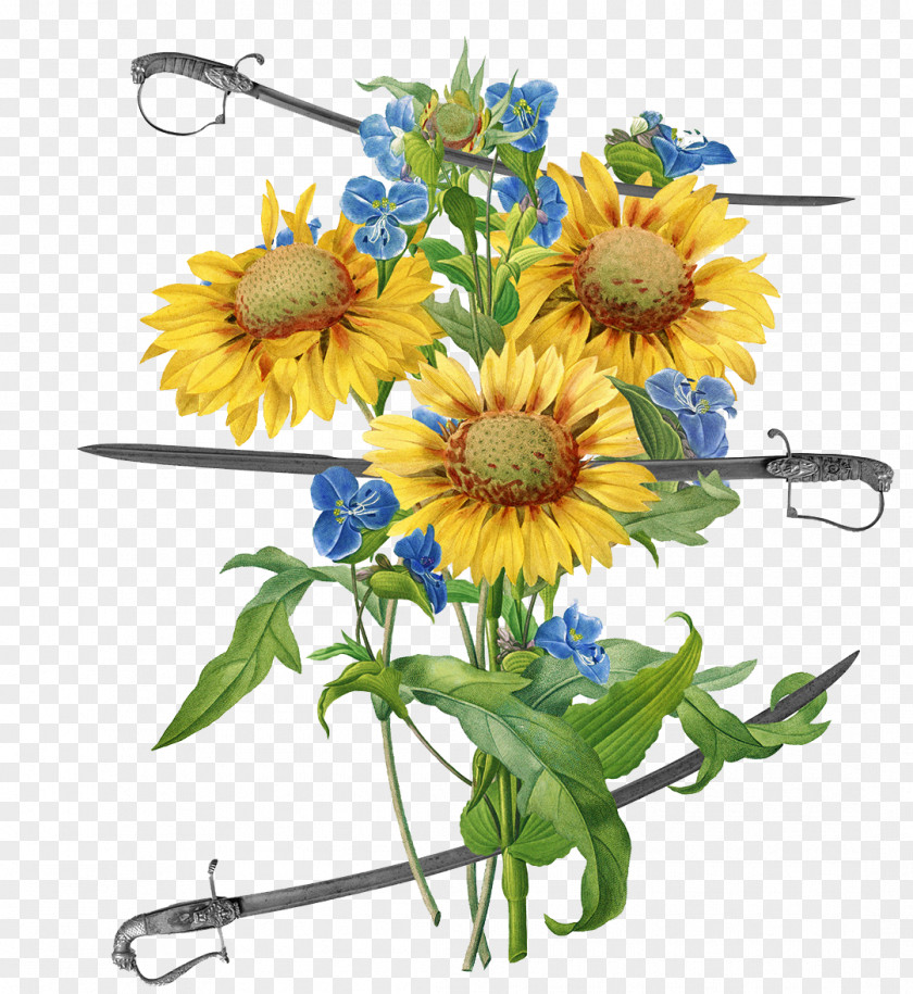 Flowers In FIG Sword Flower Bouquet Collage Designer PNG