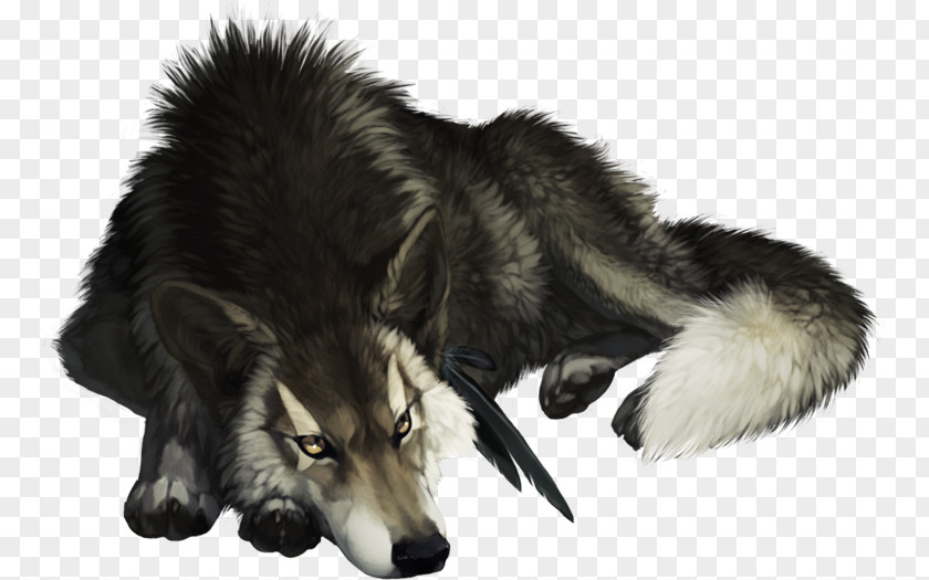 Saarloos Wolfdog Native American Indian Dog Basior Alaskan Tundra Wolf PNG