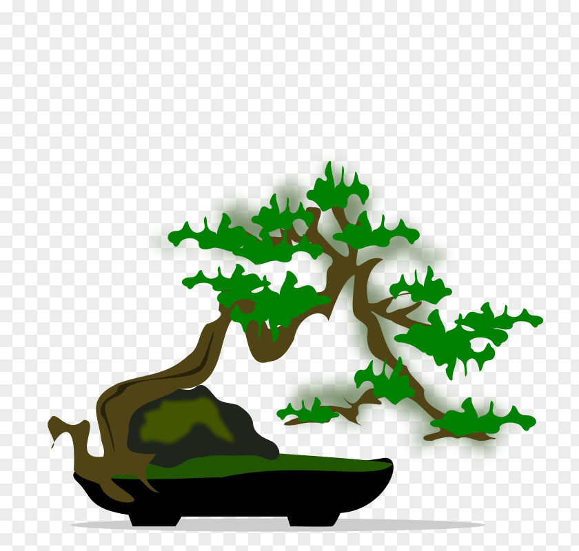 Bonsai National Foundation Tree Clip Art PNG
